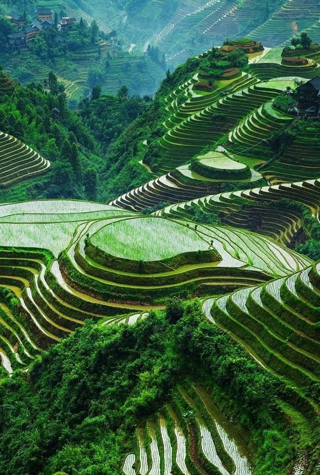 viet_14